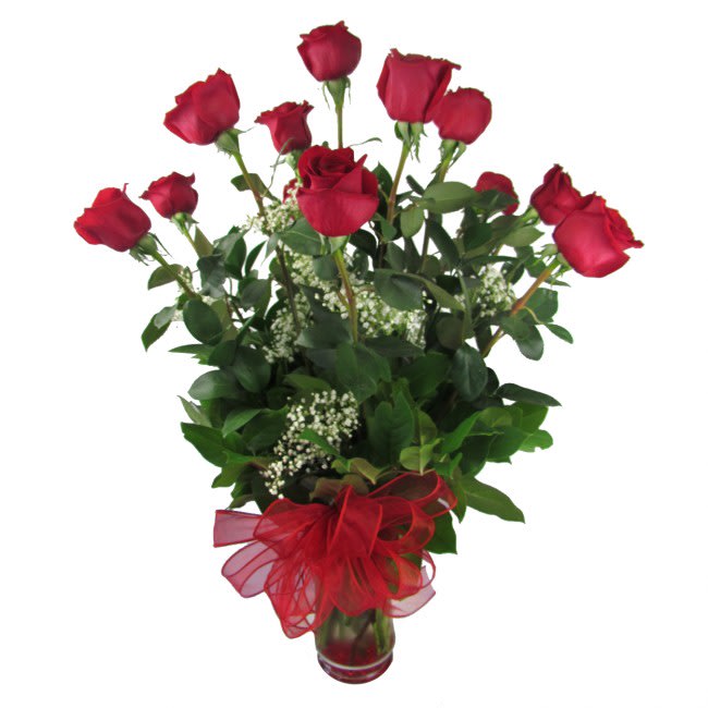 Ecuadorian Long Stem Red Roses Vase - Long Stem Red Rose Bouquet with Baby’s Breath – Hand-Arranged &amp; Delivered in San Diego  Surprise someone special with the timeless beauty of our premium long stem red roses, hand-arranged by expert florists and delivered fresh anywhere in San Diego. Each romantic bouquet features luxurious red roses, soft white baby’s breath (gypsophila), and rich garden greens, beautifully presented in a clear glass vase with elegant red accents.  Perfect for romantic occasions like anniversaries, Valentine's Day, or just because, this handcrafted floral gift is available in three stunning sizes:  • Standard – 12 Premium Long Stem Red Roses with Fresh Greens &amp; Fillers – Glass Vase (Approx. 20" W x 28" H)  • Deluxe – 24 Premium Long Stem Red Roses with Lush Greenery &amp; Fillers – Larger Glass Vase  • Premium – 36 Premium Long Stem Red Roses with Full Greens &amp; Fillers – Oversized Glass Vase  Same-day flower delivery available in San Diego and surrounding areas.  Flower Care Tips: • Place your arrangement in a cool, shaded area—avoid direct sun, heaters, or drafts. • Refill vase with clean water daily. • Trim stems and change water every 2–3 days to extend freshness.