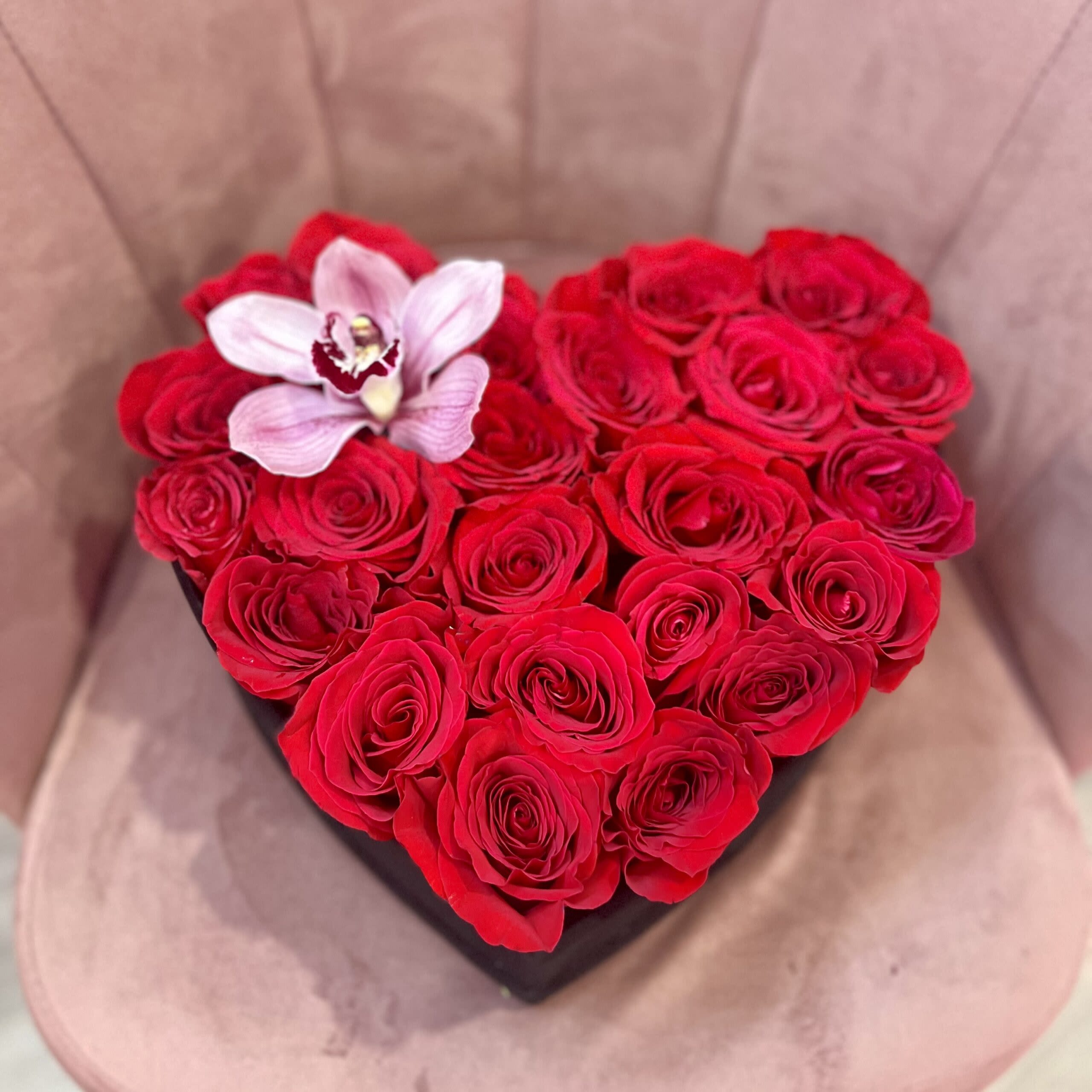 Cozy Heart Roses - Box Sizes Small Heart (24 Ecuadorian Premium Roses) - Standard Medium Heart ( 36 Ecuadorian Premium Roses) - Deluxe Large Heart (50 Ecuadorian Premium Roses) - Premium