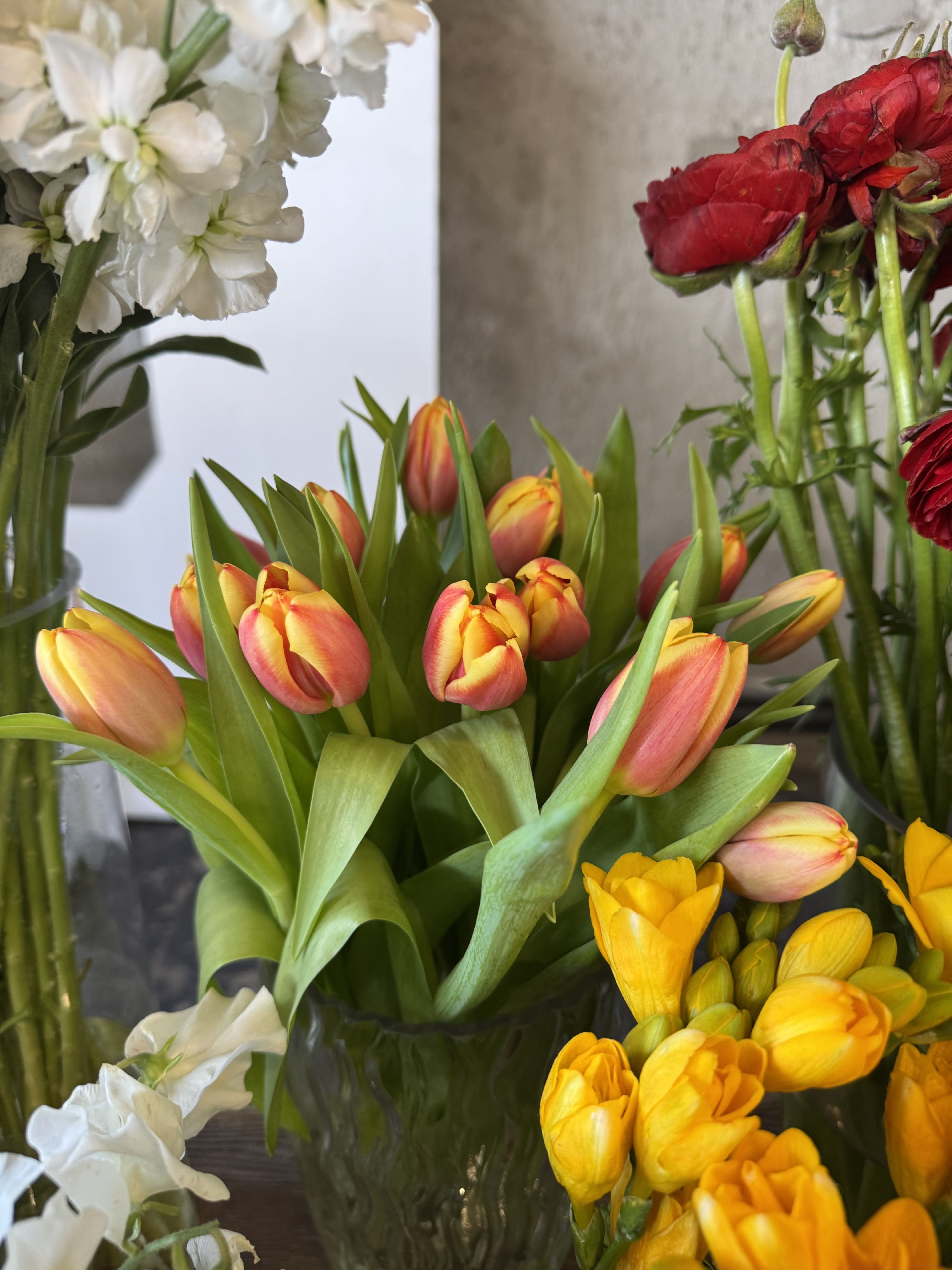 Tulip - Flower Market - Color varies on availability. You may request but color is not guaranteed.  Standard - Bunch of 10 stems Deluxe - Bought by the stem Premium - Bought by bunch 10+