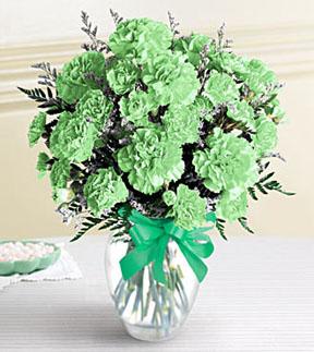 Tradition - Yes, the traditional flower for St Patrick's Day - the green carnation.  Whether you stop in and pick up one...or send this stunning arrangement of green carnations with fillers...you will be "traditional"...and that is good! Standard- 12, Deluxe- 18 Premium 24