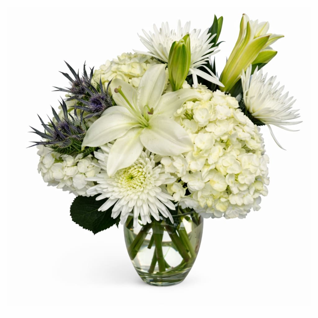 Serene White Elegance - A graceful arrangement of pure white blooms, thoughtfully designed to bring peace and comfort. With its timeless beauty and soft, elegant tones, this bouquet is perfect for expressing sympathy, love, or heartfelt appreciation.  Each piece is Designer’s Choice, created with fresh seasonal blooms. Flowers and colors may vary based on availability while maintaining the overall style and quality.  Better for: Sympathy, Get Well Soon, Mother’s Day, Thank You, New Baby, Thinking of You, Birthday, Mother’s Day, Women’s Day