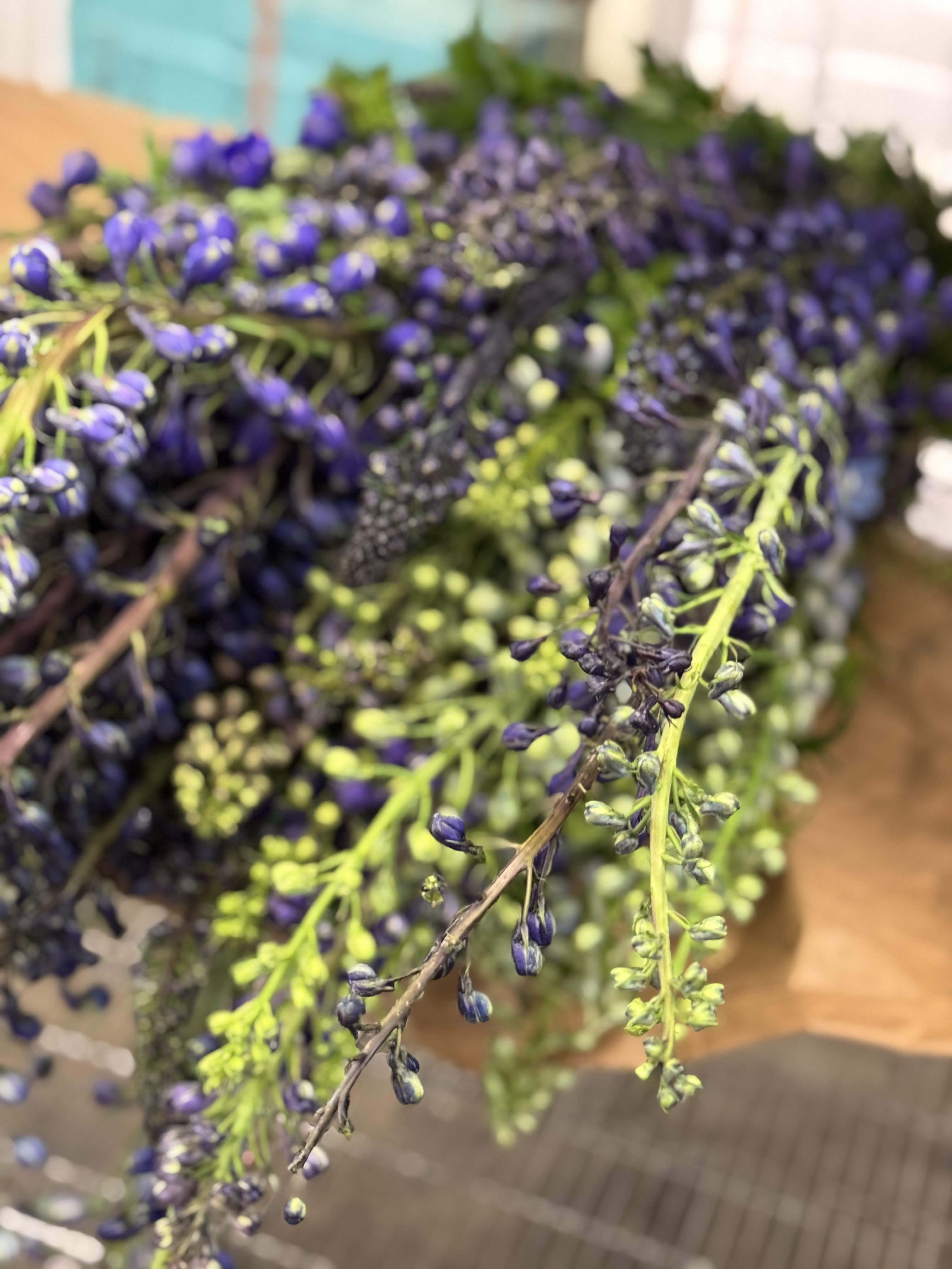 Delphinium hybrid &amp; belladona - Flower Market - Color varies on availability. You may request but color is not guaranteed.  Standard - Bunch of 5 stems Deluxe - Bought by the stem Premium - Bought by bunch 5+