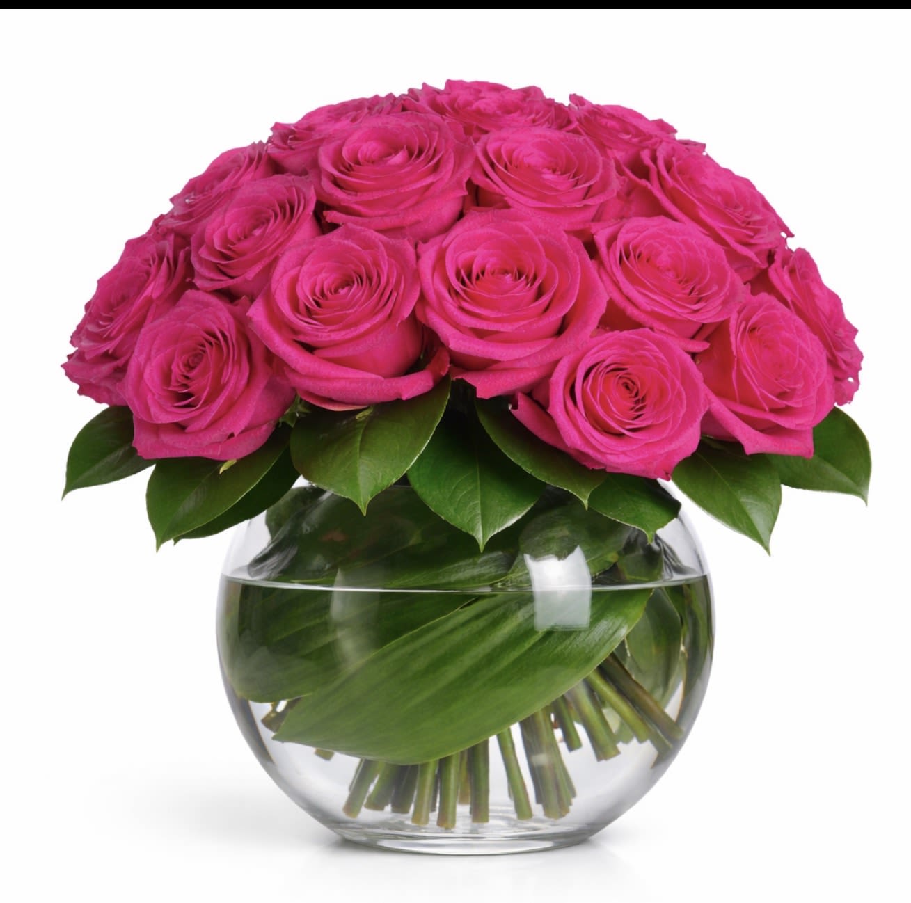 HOT PINK - 30 hot pink roses in bubble bowl