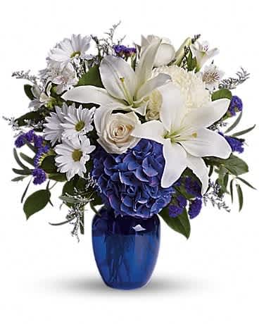 Beautiful in Blue - In this arrangement, the serenity of the color blue along with the purity of intention symbolized by white will let the family know you are sending your calm strength to them during these difficult times. Beautiful blooms such as blue hydrangea, cr&egrave;me roses, white lilies and alstroemeria along with yellow and white chrysanthemums, eucalyptus, limonium and more are beautifully arranged in a dazzling cobalt blue vase.Approximately 16 1/2" W x 18" H