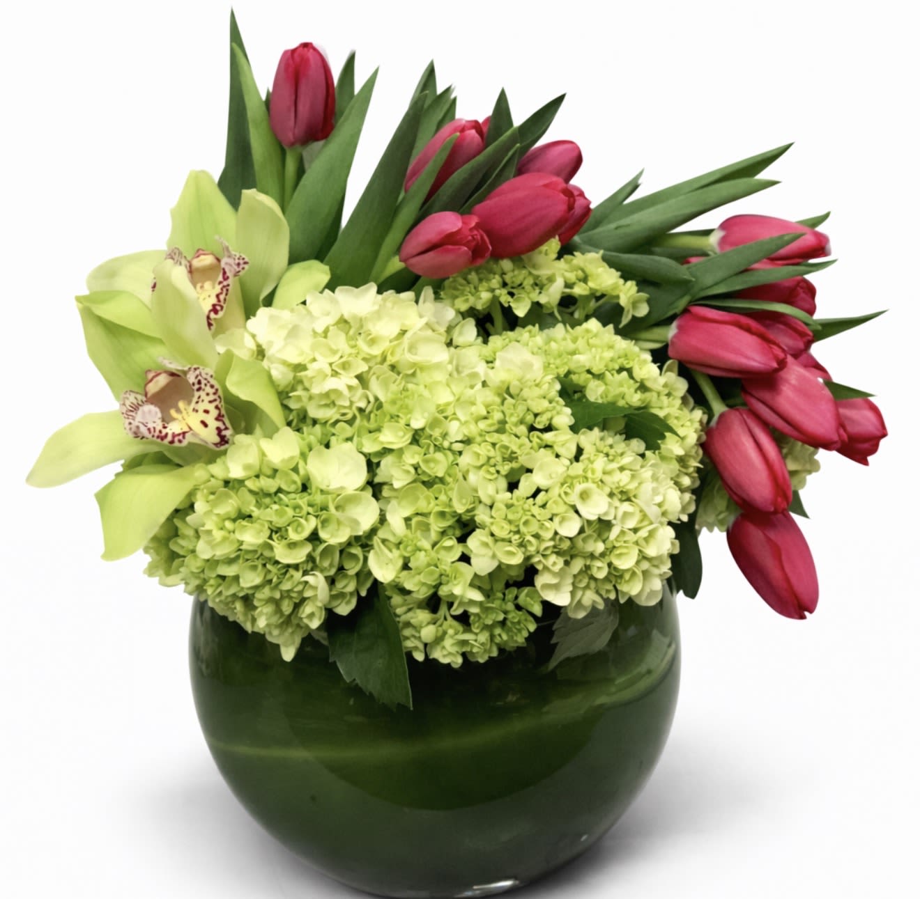 Tulips love - Green hydrangeas and cymbidium, tulips in vase wrap it with green leave