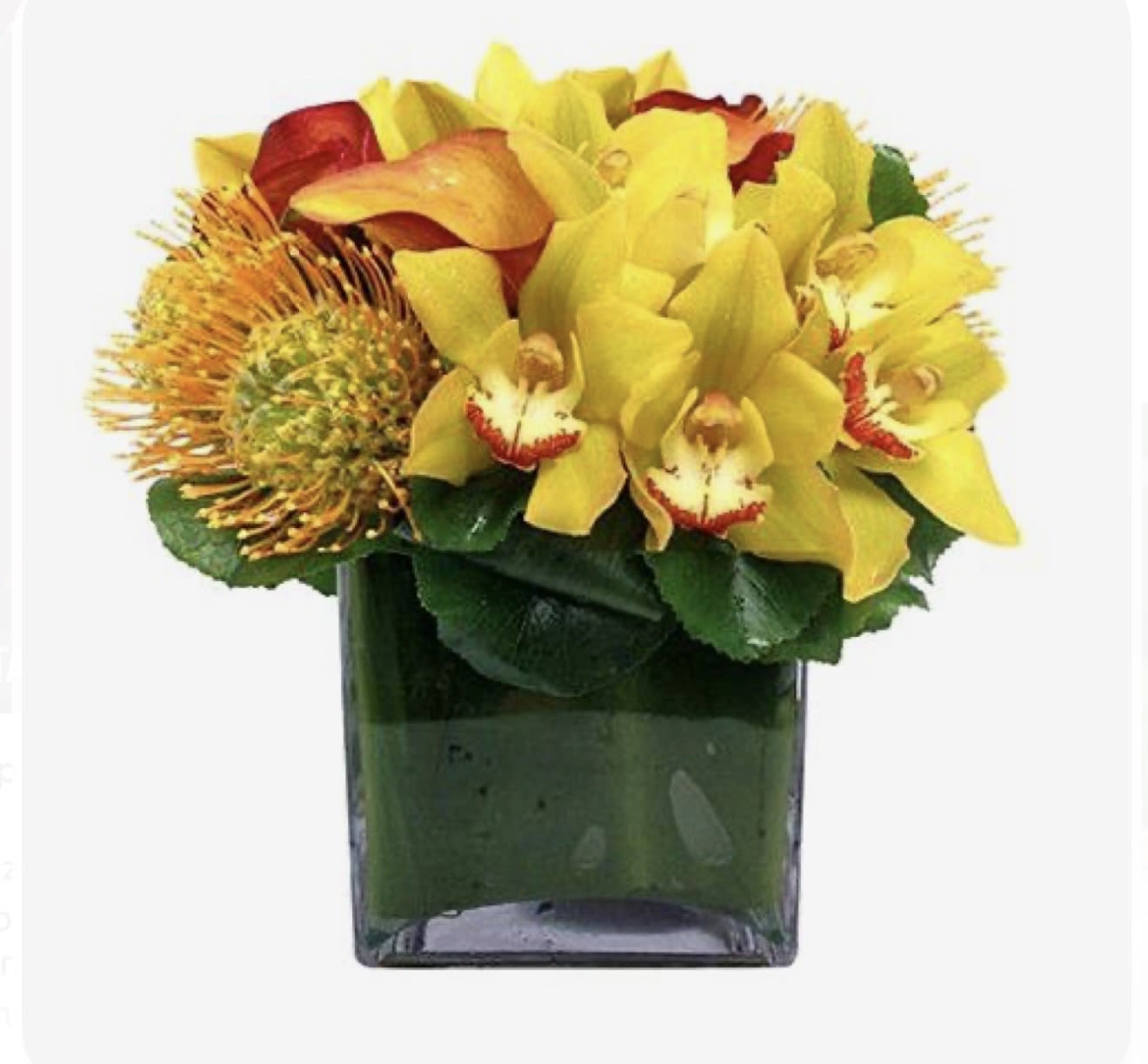 Yellow  - Tropical touch