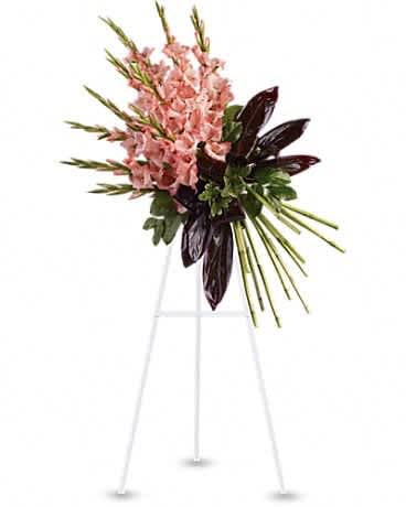 Elegant Tribute Spray - While beautiful and striking gladioli often symbolize strength and dignity, this dazzling coral display acknowledges a passion for living life to its fullest. A message that will surely be appreciated by anyone mourning a loved one. Beautiful coral gladioli are arranged with pittosporum, salal and red ti leaves to create a spray of flowers that delivers beauty and strength.