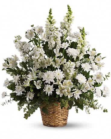 Heavenly Light - White alstroemeria, snapdragons and stock in a beautiful basket is a gift of caring that brings an air of serenity to the memorial service. Later, it will be a comfort for the family at home. This exquisite bouquet includes white alstroemeria, snapdragons, stock and cushion spray chrysanthemums and is accented with eucalyptus and lemon leaf. Delivered in a 6" natural pot basket.Approximately 25 1/2" W x 28 1/2" H