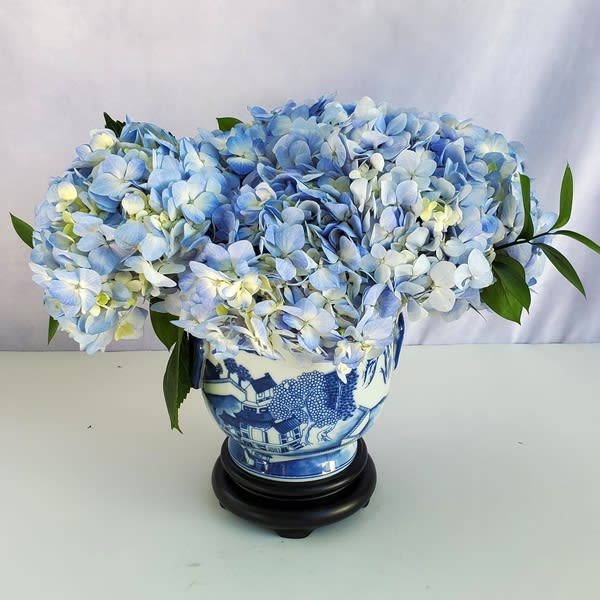 Low arrangement of light blue hydrangeas in a blue and white ceramic vase on a black stand