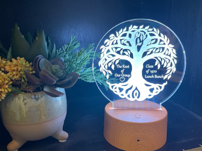 Custom Luminous Light Display - Makes for an eye catching display for home or business. A sweet way to send a message, or personalized night light. This Custom LED Light Display comes with a remote control and USB cable. Has 16 different color selections and 4 different modes.