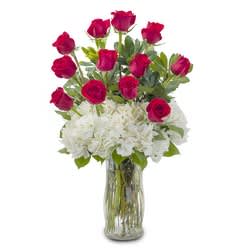 Impress Her - A classically gorgeous arrangement of a dozen red roses accented with Hydrangea to really make an impression. Approximately 8" W X 18" H As Shown : HI-TMF336