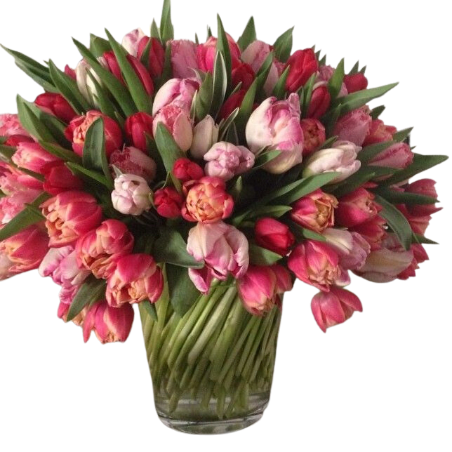 Peony and parrot Tulips - A mixture of Peony and Parrot tulips , as well as fringed , double or novelty tulips. This arrangement is seasonal and might have different tulips and colors  then shown. The arrangement will always be fresh and colorful Please send only in Spring time 