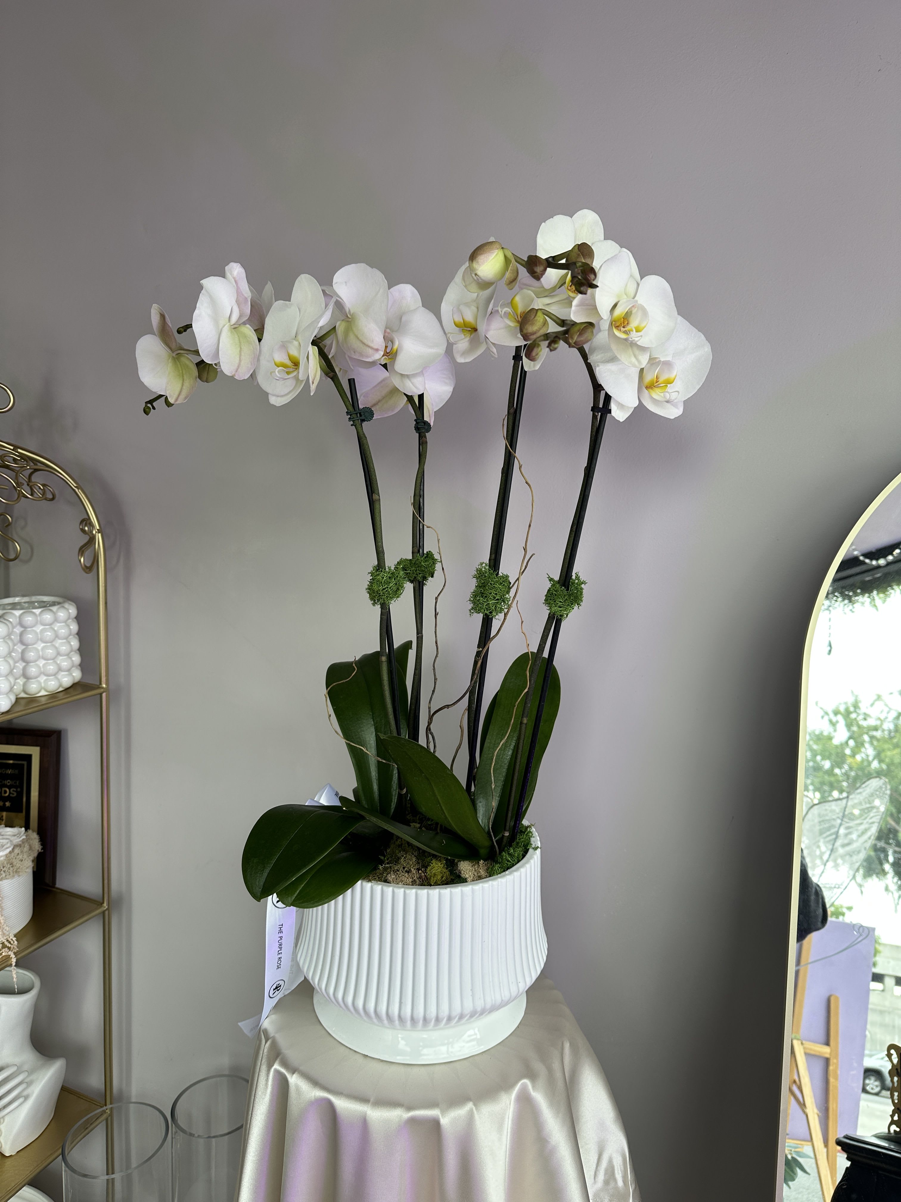 47D- White Orchids in Pot - This exquisite vase showcases elegant orchid stems, each one a stunning display of intricate blooms and graceful curves.  Seasonal plants can be replaced with a similar one or a different color. Plant pots can also be replaced with others