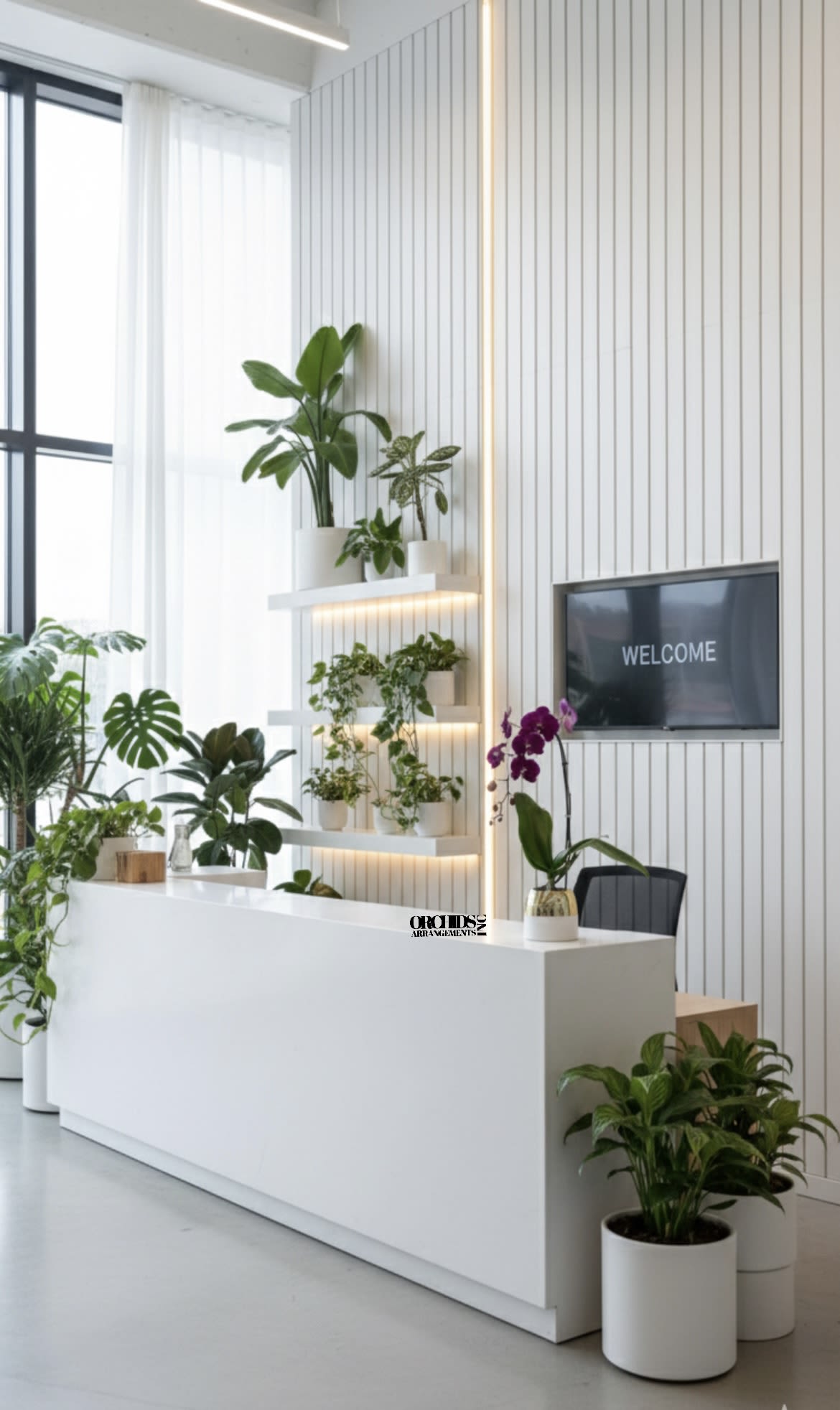 Purple Phalaenopsis Orchid Arrangement – Contemporary Design - This elegant Single Purple Phalaenopsis Cascade orchid arrangement creates a striking vertical presence, making it ideal for grand interiors and modern living spaces with a vase 5.75" D X 5" T.    