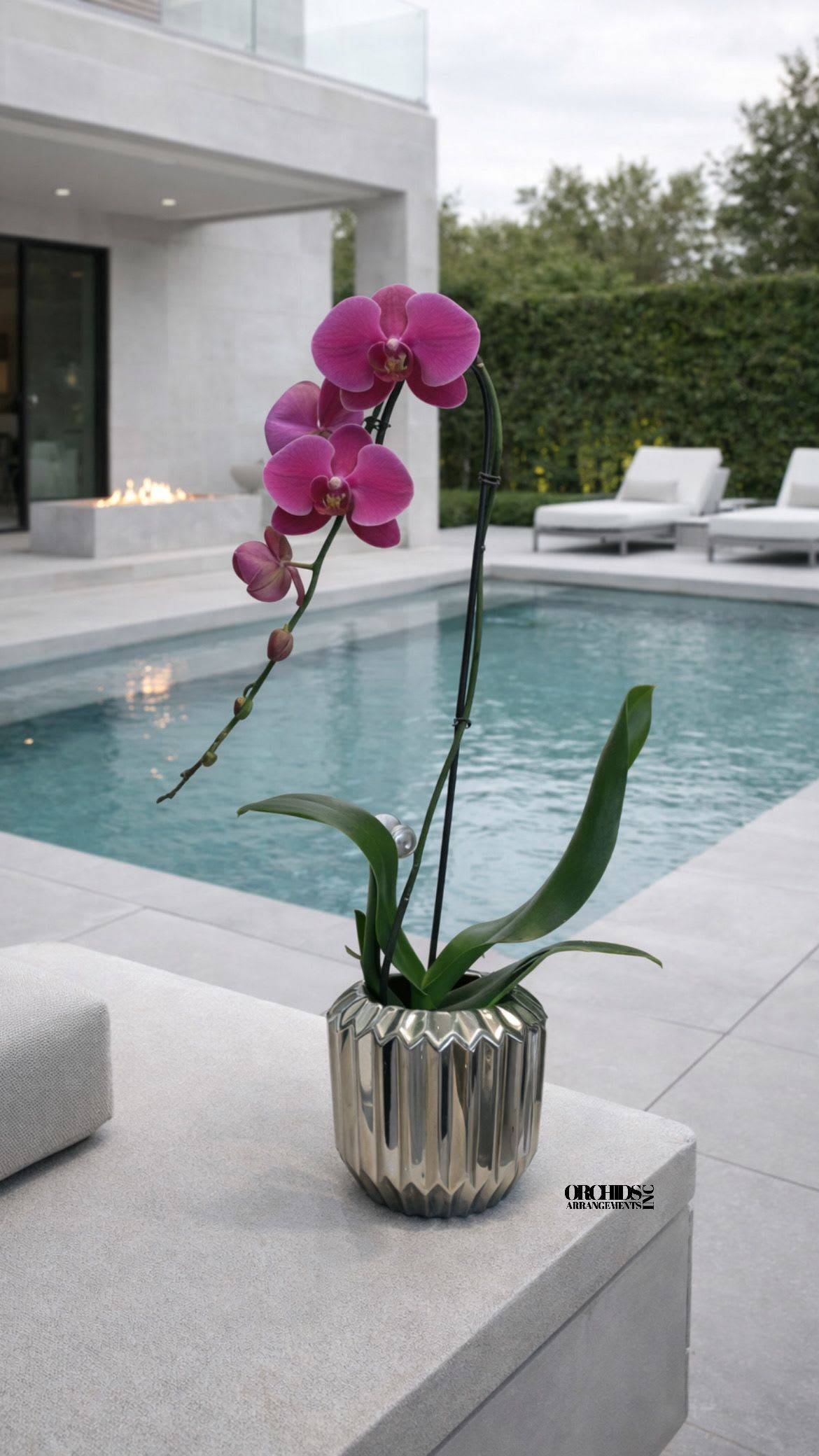 Purple Phalaenopsis Orchid – Designer Collection - This elegant Single Purple Phalaenopsis Cascade orchid arrangement creates a striking vertical presence, making it ideal for grand interiors and modern living spaces with a vase 7" D X 7" T. 