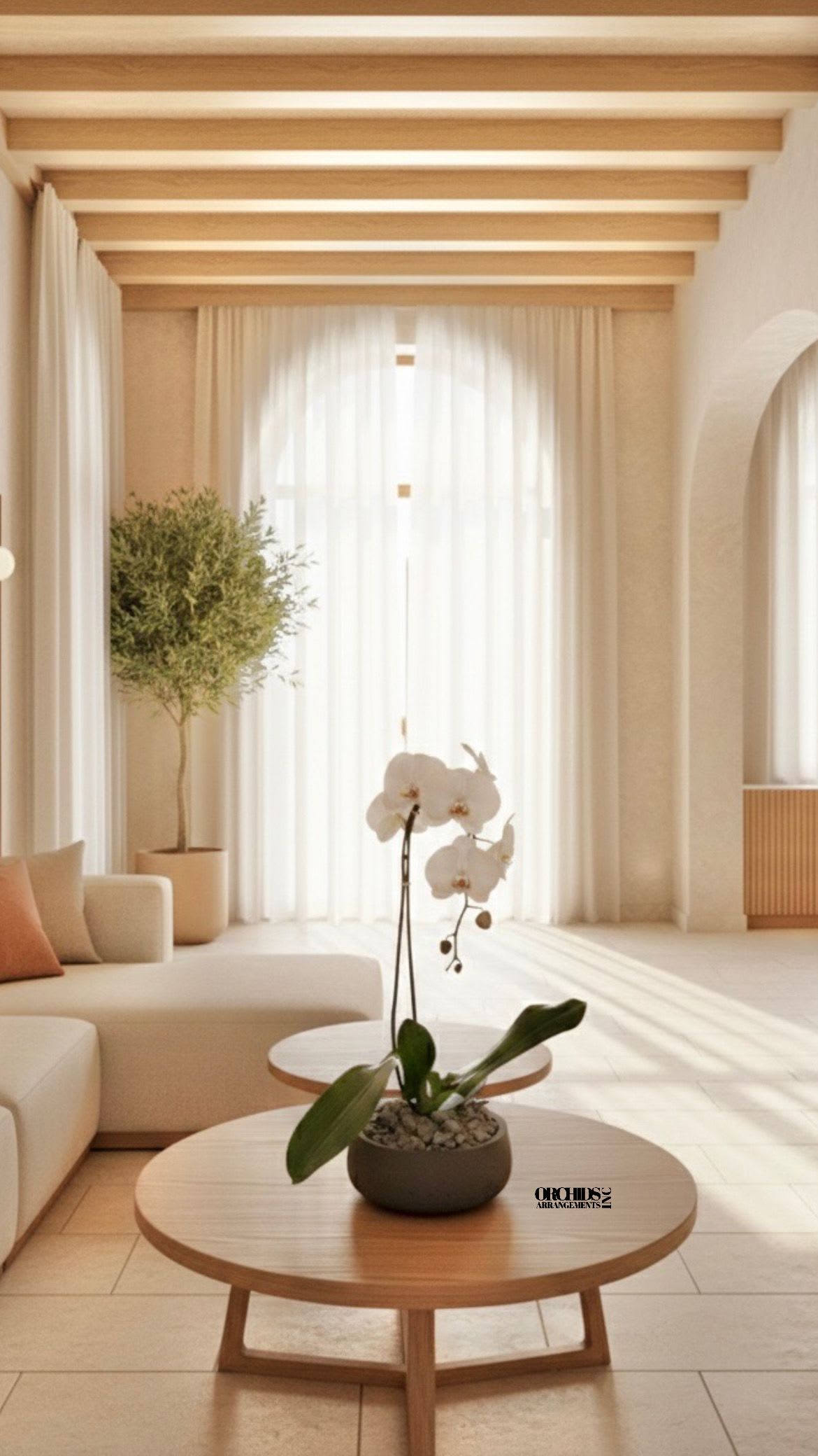 White Phalaenopsis Orchid – Signature Edition - This elegant Single White Phalaenopsis Cascade orchid arrangement creates a striking vertical presence, making it ideal for grand interiors and modern living spaces with a vase 8.5" D X 3" T.