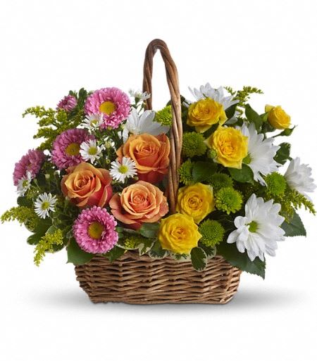 T213-2A Sweet Tranquility Basket - A basket full of bright blossoms will deliver the warmth of sunshine even when the skies seem gray. This beautiful gift will be appreciated for its life-affirming brilliance and your thoughtfulness at this time. Brilliant blooms such as orange and yellow roses and spray roses mix with pink matsumoto asters, white daisy spray chrysanthemums, dazzling green button spray chrysanthemums, salal, pittosporum and more in a lovely rectangular basket with a handle. Approximately 16" W x 13 1/2" H 