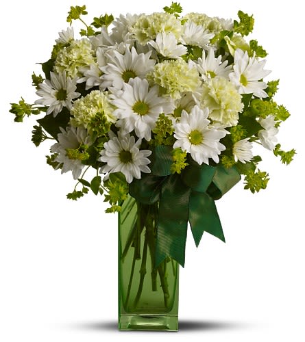 St Patrick's Daisies - Erin go bragh! If you're wearing green this St. Patrick's Day - and you'd like to send a celebratory reminder to a favorite friend or family member - we've created a special bouquet just for you. This cheerful mix of daisies and carnations will melt any heart.