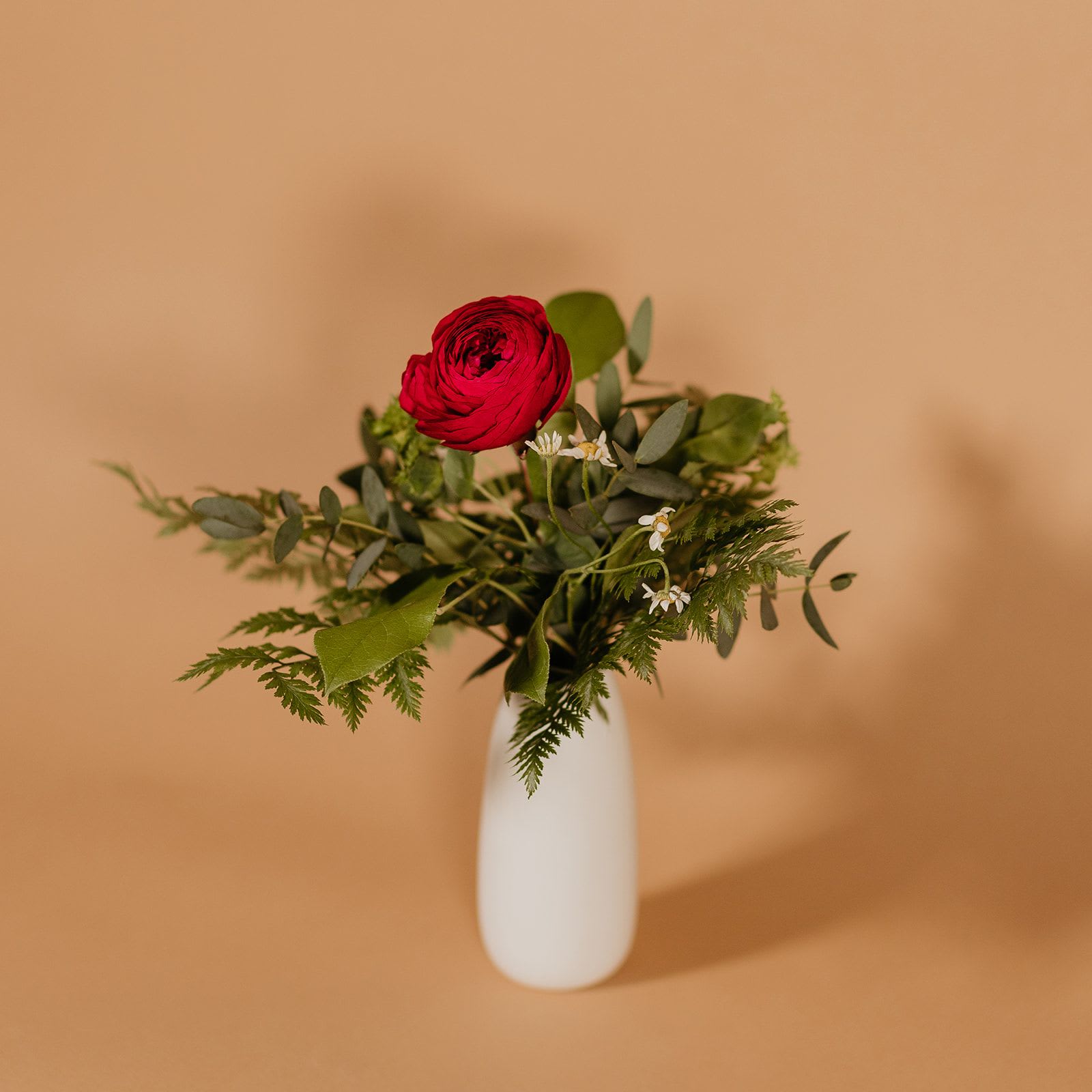 Single Ranunculus - Celebrate love and romance with our stunning single elegantly nestled in a charming ceramic vase. Each ranunculus is meticulously selected to ensure the utmost quality.    Crafted with artistry, the ceramic vase adds a touch of sophistication to any space, making it a timeless keepsake long after the florals fade into cherished memories. 