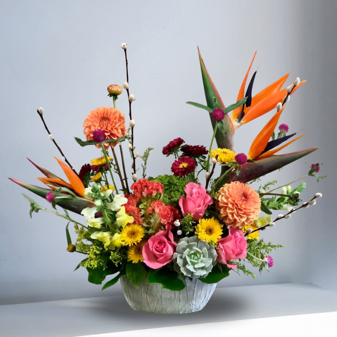 Garden of Tropics - Recipe: Birds of Paradise, Seasonal Celosia, Seasonal Dahlias, Globe Amarathus, Snapdragons, Succulent, Monte Casino, Roses Pussy Willow, and more in a modern ceramic vase. Seasonal: Seasonal Dahlias and Celosia Orientation: Front Facing View Photo shown: Standard and Deluxe