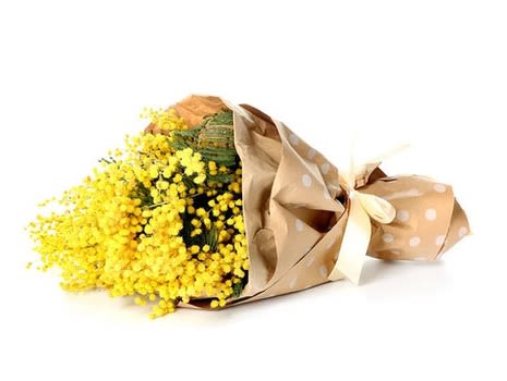 Women's Day Mimosa Bouquet - Mimosas are flowers that can grow through challenging environments, symbolizing the strong women everywhere! Send this vibrant bunch of mimosas to celebrate the wonderful women for International Women's Day. 