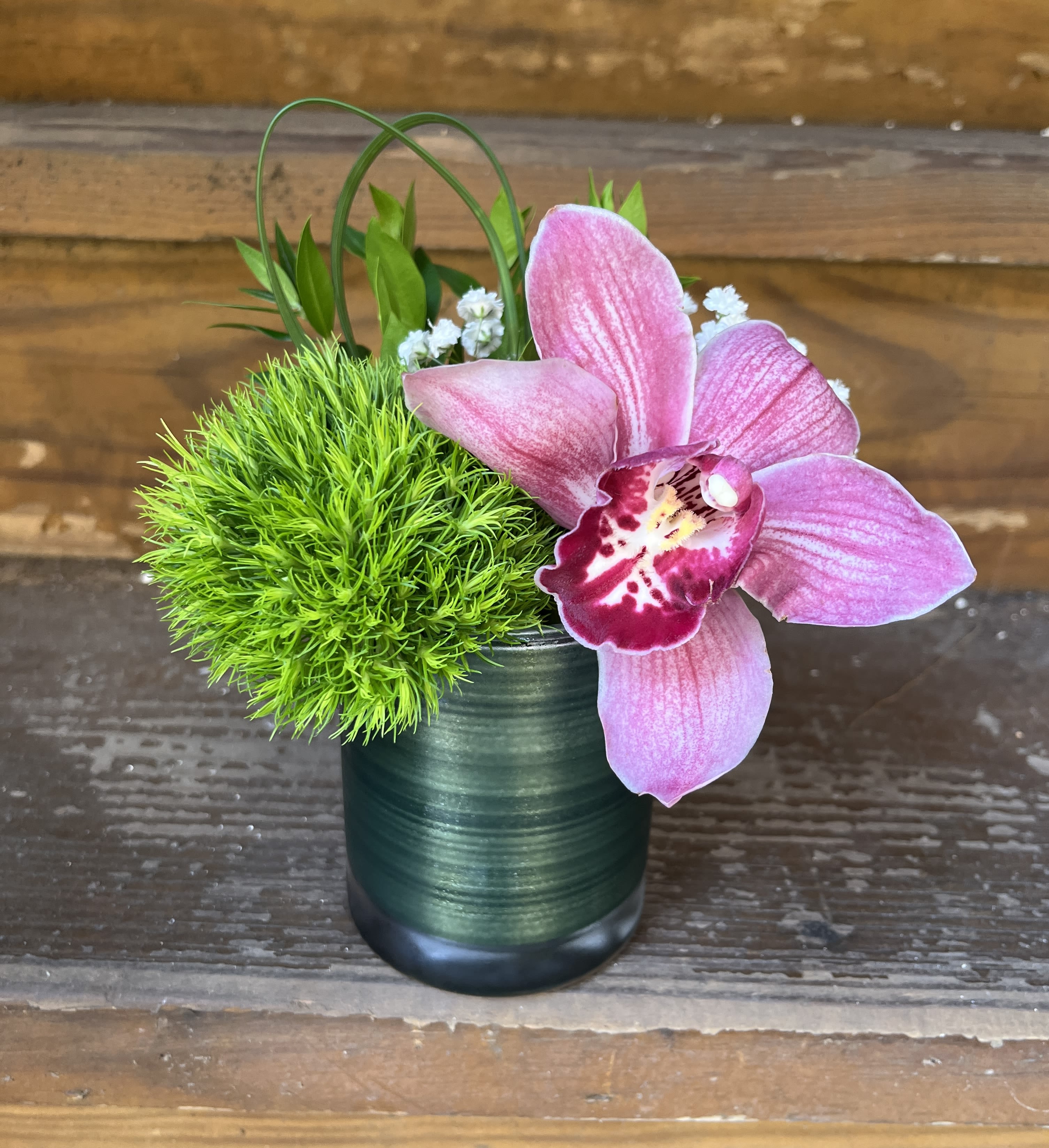 Uno, Duo or Trio Orchid Minis in 3"x4" Cylinders - 3"x4" Minis are perfect bathroom arrangements or combine a few with two or three for along a table or pair with a centerpiece.   ORCHID COLORS MAY VARY