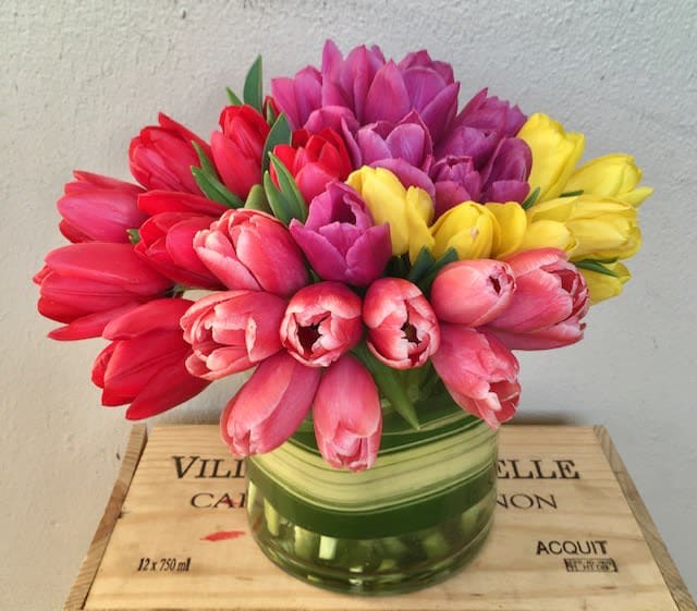 Rainbow Tulips - Mixed colors Tulips in 6” glass vase 