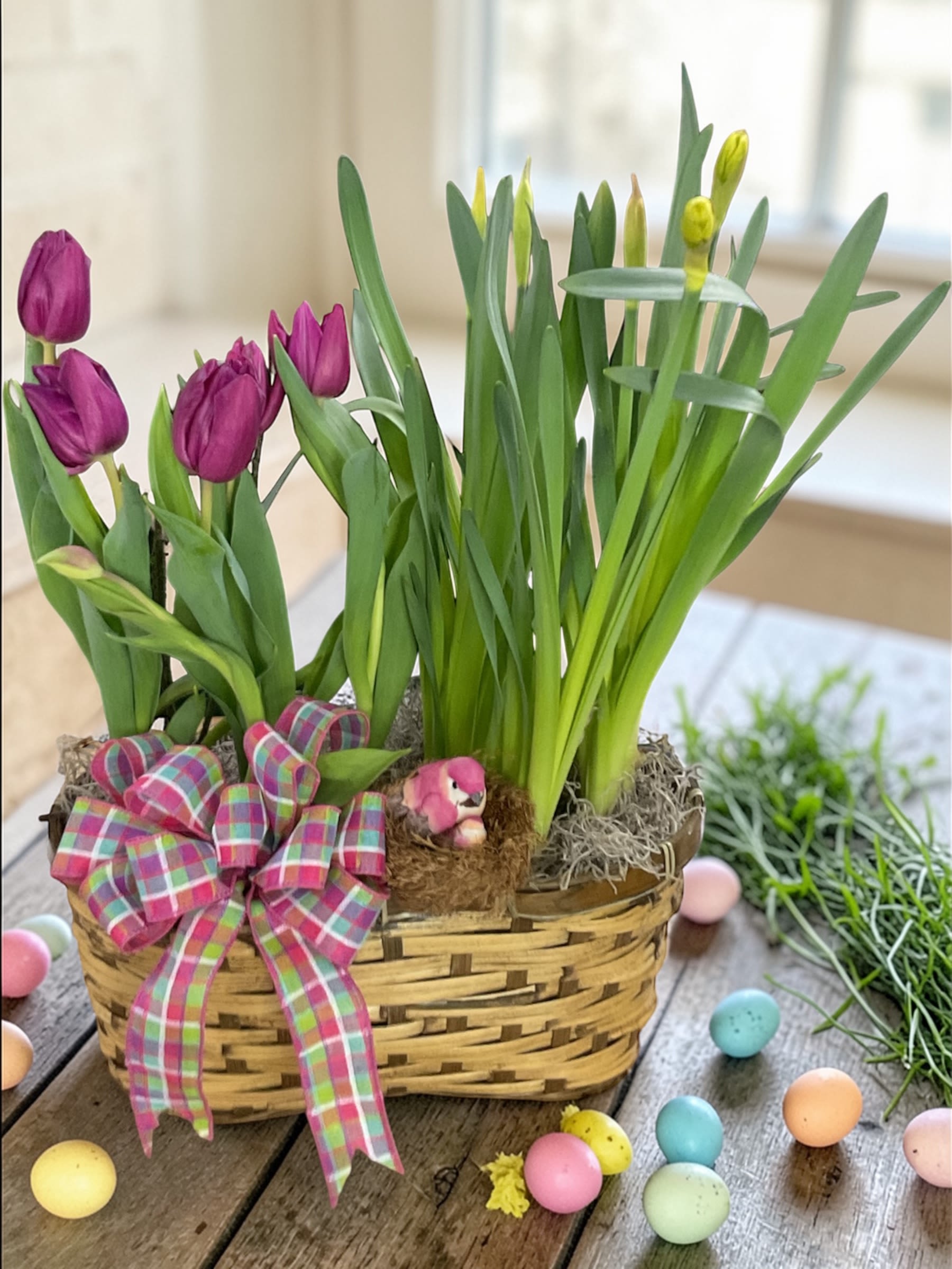 Double Spring Bulb Basket - Welcome spring in the most joyful way possible with our Double Spring Bulb Basket — a charming woven basket overflowing with two blooming bulb varieties, hand-planted and arranged for maximum color, fragrance, and cheer.  Each basket features seasonal bulbs such as tulips, daffodils, hyacinths, or narcissus (varieties may vary), nestled naturally in moss with a festive spring ribbon and an adorable accent nest. As the days warm, the blooms continue to open, bringing fresh life and color into any home.  Perfect for Easter, spring birthdays, thank-you gifts, get-well wishes, or simply brightening someone’s week. Long-lasting, garden-ready, and guaranteed to make them smile.  Colors &amp; bulb types vary based on availability.