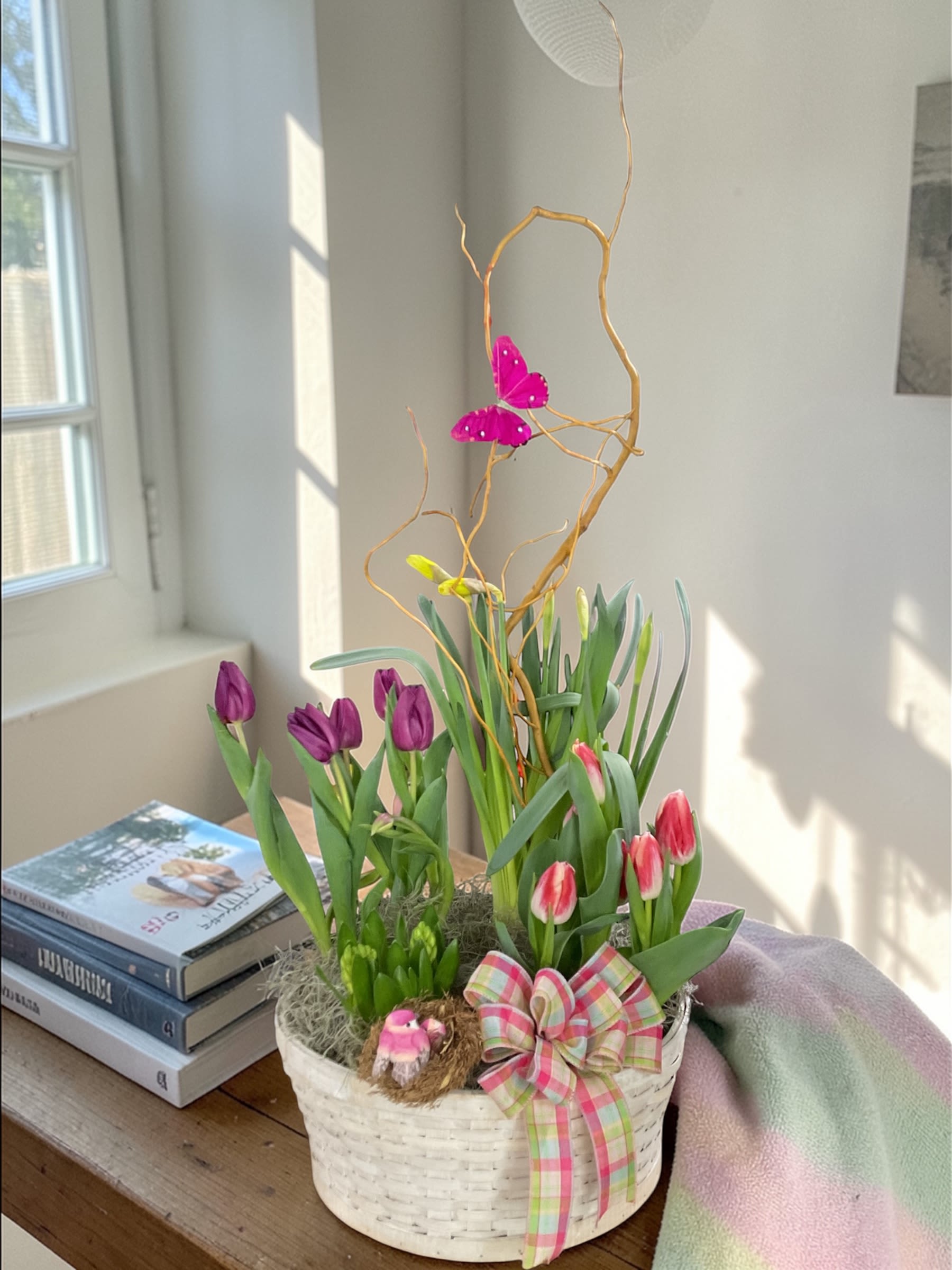 Spring Bulb Basket - Spring Blooming Bulb Garden  Bring the beauty of early spring indoors with our handcrafted Blooming Bulb Garden. This charming basket is filled with a seasonal mix of living bulb plants — typically tulips, daffodils, hyacinths, or similar spring favorites — arranged together for a fresh-from-the-garden look.  Curly willow gives it natural height, a bright butterfly adds cheerful whimsy, and a pastel plaid bow completes the design with a soft spring touch.  These bulbs will continue to grow and open in your home, offering days of color and fragrance. Varieties and colors may vary, but every garden is designed to be full, vibrant, and unmistakably spring.  A perfect gift for Easter, birthdays, thank-yous — or simply bringing a little sunshine into someone’s day. 