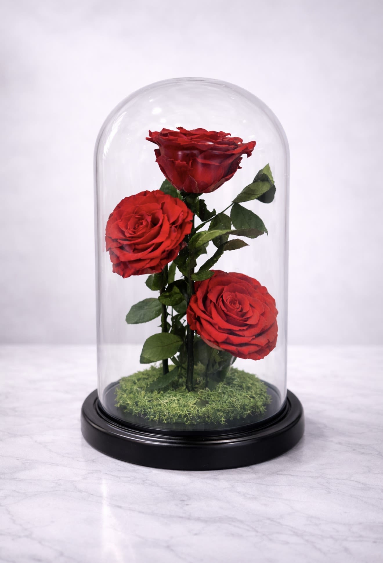 Eternal Trinity – Real Preserved Roses - Three real preserved red roses beautifully arranged under a glass dome on a sleek black base. A timeless, maintenance-free symbol of love designed to last for years.