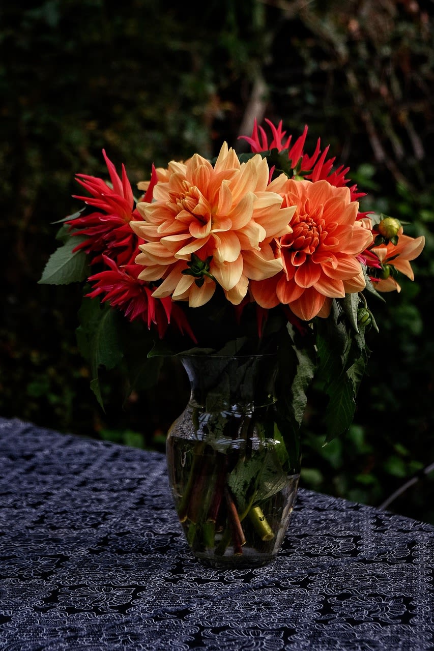 Bouquet on a Budget (petite-florist choice) - Petals &amp; Blooms Flowers (bouquet on a budget) high end designs, back by popular demand!! No two designs are ever the same. Petite custom original high end flowers. Who says beautiful, luxurious flowers don't come in small packages? Petals &amp; Blooms Flowers original custom petite bouquets, (bouquets on a budget), are beautifully designed on a small scale, using premium high end flowers. Our floral artists create micro designs, using our best flowers at affordable prices. We value all of our clients and truly want to share the love and meaning of flowers with everyone.  ***NOTE** NO FlOWER REQUESTS ACCEPTED AT ALL, OR UNDER ANY CIRCUMSTANCES FOR THIS PRODUCT. DO NOT SEND A NOTE TO FLORIST FOR color requests, design requests, or specific flower requests for this product because it will not be approved or accepted under any circumstance for this product. The Florist chooses all design styles, colors, and flowers for this product.  