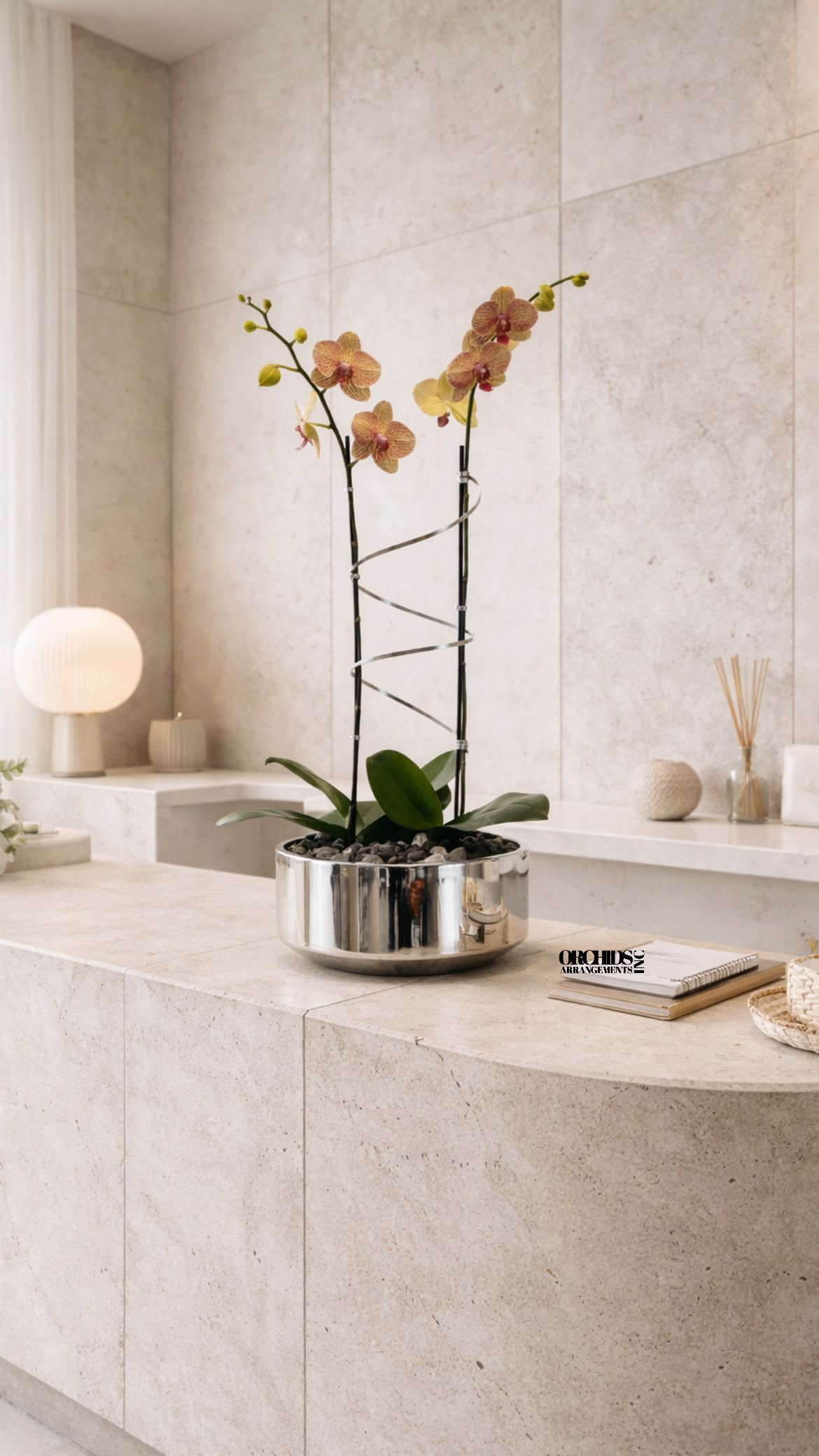 Peach Phalaenopsis Orchid – Deluxe Gift Arrangement - This elegant Double Purple Phalaenopsis Cascade orchid arrangement creates a striking vertical presence, making it ideal for grand interiors and modern living spaces with a vase 12" D X 5" T. 