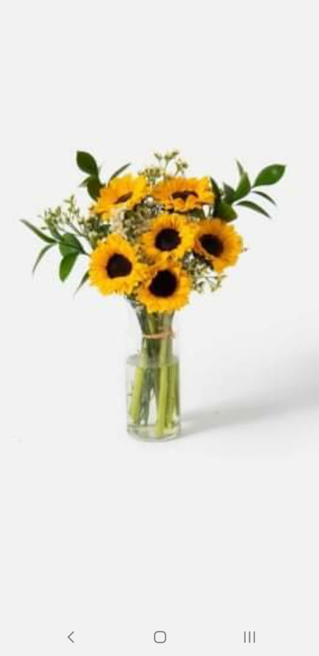 Sunny Days - Sunflowers and a variety of greens in a glass vase. 