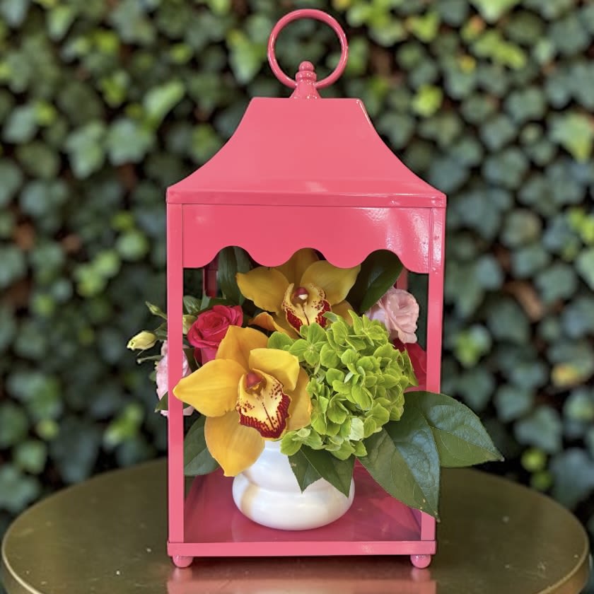 Guiding Light - Illuminate someone’s day with Guiding Light, a radiant floral arrangement exclusively designed by Petals Flowers and Fine Gifts - your trusted local florist in Wilmington, Delaware. This striking design features vibrant yellow orchids, lush green hydrangea, and accents of rich pink roses, beautifully arranged in a classic white ceramic vase and showcased inside a bold pink lantern. Both modern and timeless, Guiding Light symbolizes warmth, hope, and heartfelt connection.  Perfect for birthdays, thank you gifts, housewarmings, sympathy gestures, or simply to brighten someone’s day, Guiding Light is designed to leave a lasting impression and serve as a meaningful reminder that someone cares.  At Petals Flowers and Fine Gifts, we specialize in custom, luxury floral designs crafted with premium flowers and exceptional attention to detail. As a local florist in Wilmington, Delaware, we proudly offer same-day, tax-free flower delivery throughout Wilmington, Hockessin, Newark, Glen Mills, Chadds Ford, Kennett Square, and surrounding areas.  Why Choose Us? * Locally owned Wilmington florist known for creativity, quality, and personalized service * Hand-crafted floral arrangements tailored to every occasion * Reliable same-day delivery to homes, offices, and venues throughout the area  Order Guiding Light today and let Petals Flowers and Fine Gifts deliver a beautiful symbol of warmth and love right to their doorstep in Wilmington, Delaware.