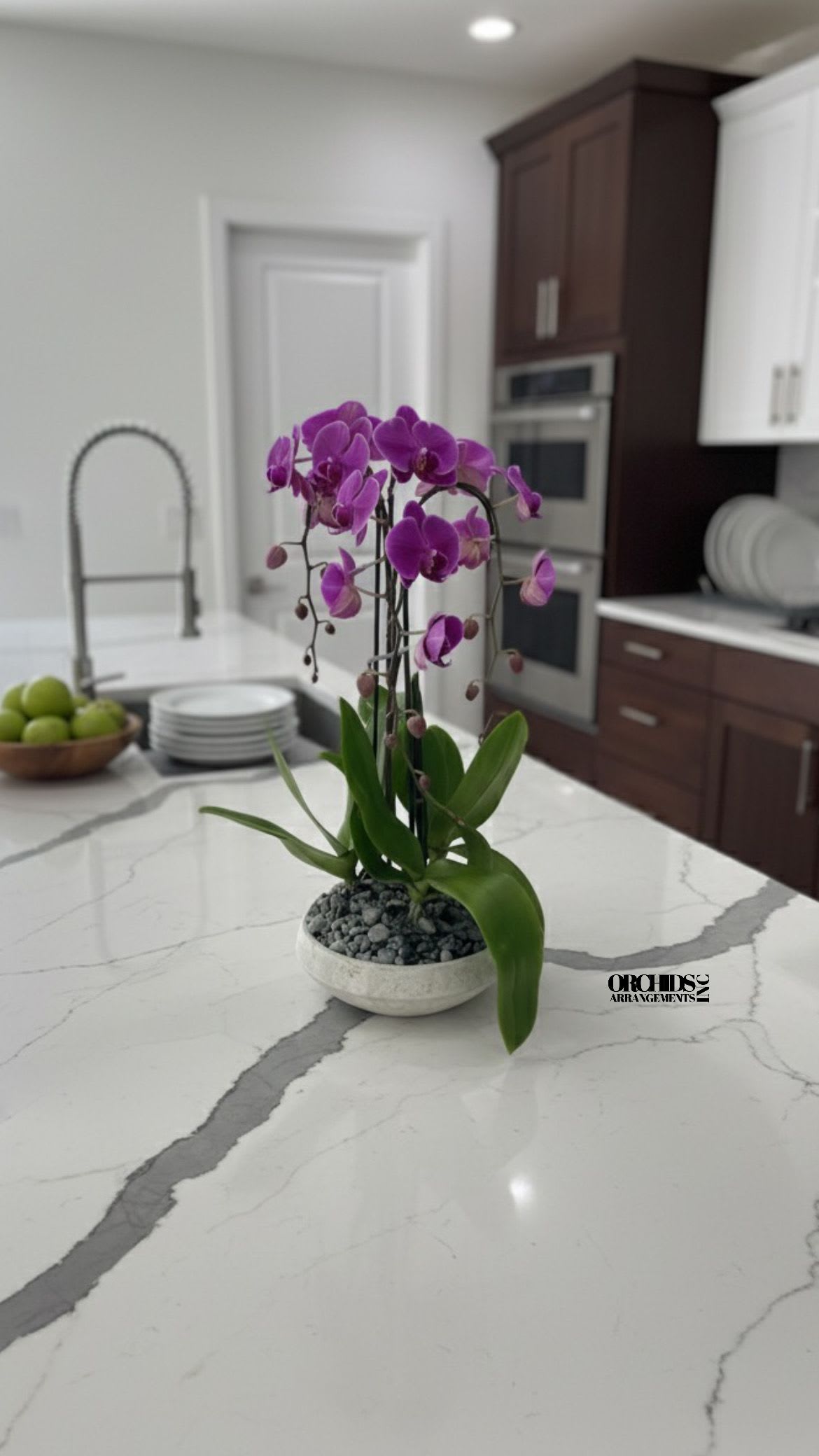 Purple Phalaenopsis Orchid – Dining Table Centerpiece - This elegant Triple Purple Phalaenopsis Cascade orchid arrangement creates a striking vertical presence, making it ideal for grand interiors and modern living spaces with a vase 13" D X 4.5" T. 