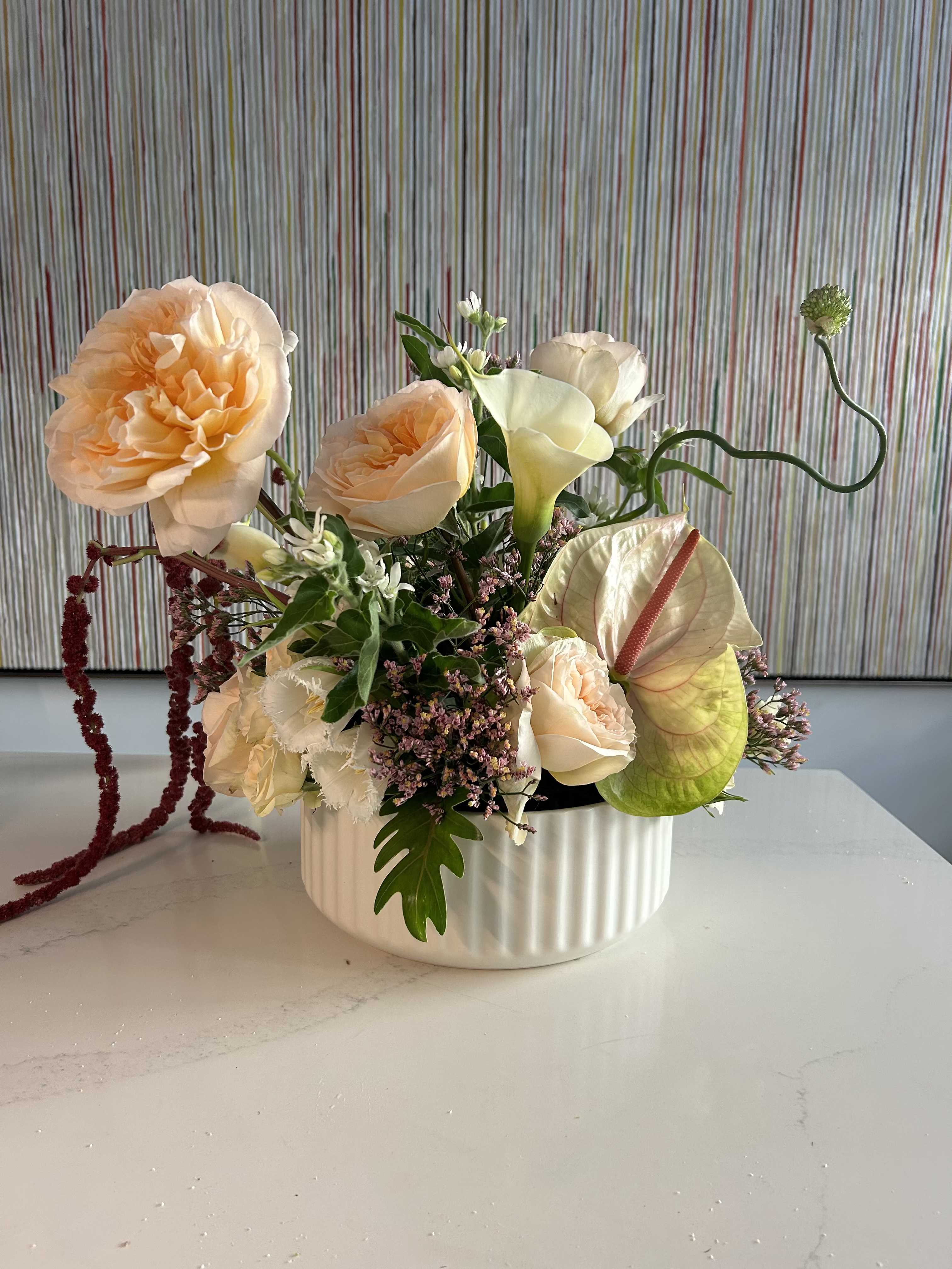 Peach blossom - Large garden roses, anthuriums, amaranthus and fringed tulips are the stars in this gorgeous composition  Set in an extra large low ceramic vessel, this composition is certain to impress even the most discerning tastes!