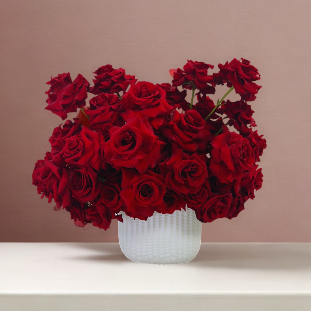 Red Romance - Behold the timeless elegance of our red rose arrangement in a pristine white ceramic vase. A harmonious blend of passion and purity, this stunning display features a cluster of velvety red roses, each bloom a symbol of love and admiration.