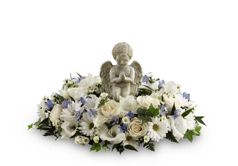 The FTD The Little Angel Ring of Flowers - The FTD The Little Angel Ring of Flowers is a sweet and serene way to say your final goodbye at a child's final farewell service. A stonecast cherub statue sits in the center of a ring of white roses, white traditional daisies, white monte casino asters, light blue delphinium, white gladiolus and a variety of lush greens to create a beautiful tribute that expresses your unending love and affection for the deceased.