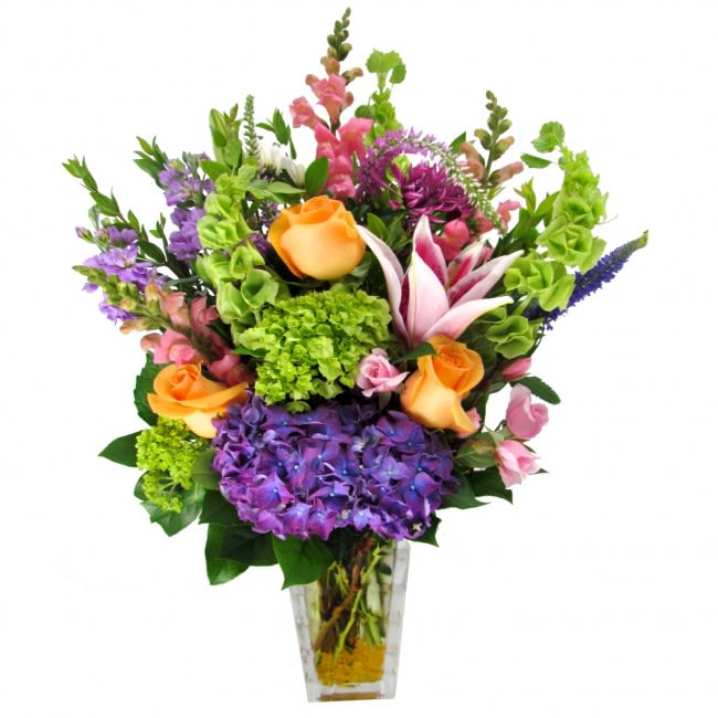Essence of Spring - Essence of Spring – Fresh Flower Delivery in San Diego  Welcome the season of sunshine with Essence of Spring, a vibrant mix of snapdragons, roses, stargazer lilies, hydrangeas, bells of Ireland, and lush garden greens. Hand-arranged by San Diego’s expert florists, this colorful bouquet captures the joy and freshness of spring, making it perfect for birthdays, celebrations, and just-because moments.  Available Sizes:  • Standard – One-sided display in a glass vase (Approx. 18" W x 28" H).  • Deluxe – Full, round design with more blooms in a larger vase.  • Premium – Jumbo round style with abundant blooms in a statement vase.  Care: Keep in a cool spot away from direct sunlight or vents. Refill with fresh water daily and trim stems every 2–3 days for longer-lasting beauty.  Enjoy same-day flower delivery in San Diego — the perfect way to bring spring’s beauty to someone’s day.