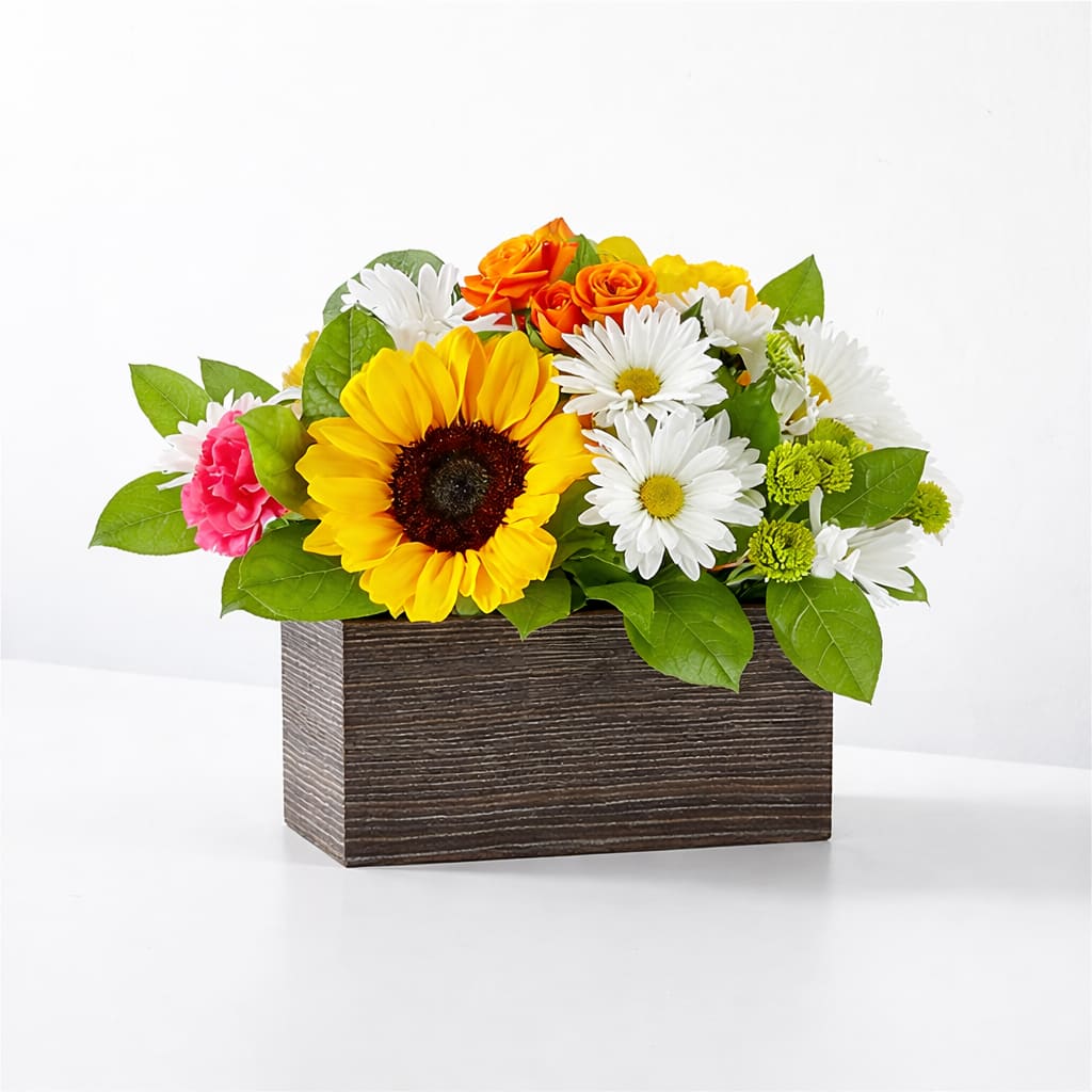 Sunflower Glow Wooden Box - A radiant and cheerful floral design featuring a bold sunflower, vibrant orange roses, fresh white daisies, green button mums, and a touch of pink accent blooms. Designed in a modern dark wood box, this arrangement brings warmth, happiness, and natural charm to any space. Perfect for celebrating special moments or simply brightening someone’s day.  Each piece is Designer’s Choice, created with fresh seasonal blooms. Flowers and colors may vary based on availability while maintaining the overall style and quality.  Better for: Mother’s Day, Women’s Day, Birthdays, Thank You, Get Well, Congratulations, Just Because.