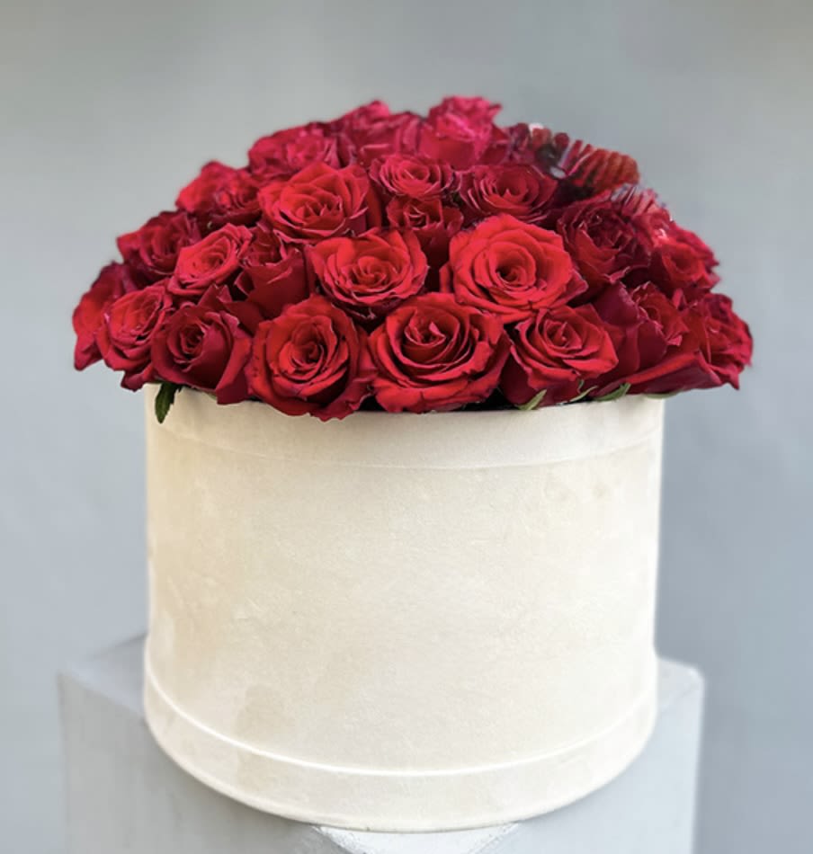 Red roses arranged in a white round box
