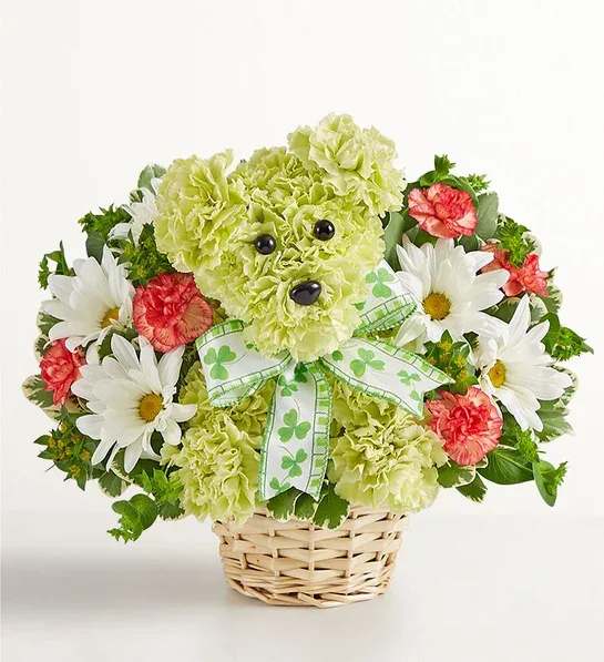 Lucky  191481-26 - Get lucky. Give Lucky! Our signature St. Patrick’s Day pup is party-ready, crafted from traditional green, white, and orange blooms, and wearing a fun decorative ribbon. A truly delightful surprise to make Irish eyes of all ages smile.