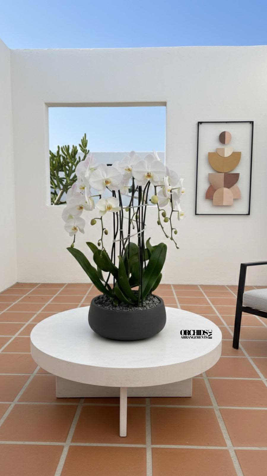 White Phalaenopsis Orchid – Modern Black Planter - This elegant Four White Phalaenopsis Cascade orchid arrangement creates a striking vertical presence, making it ideal for grand interiors and modern living spaces with a vase 12.5" D X 5" T.