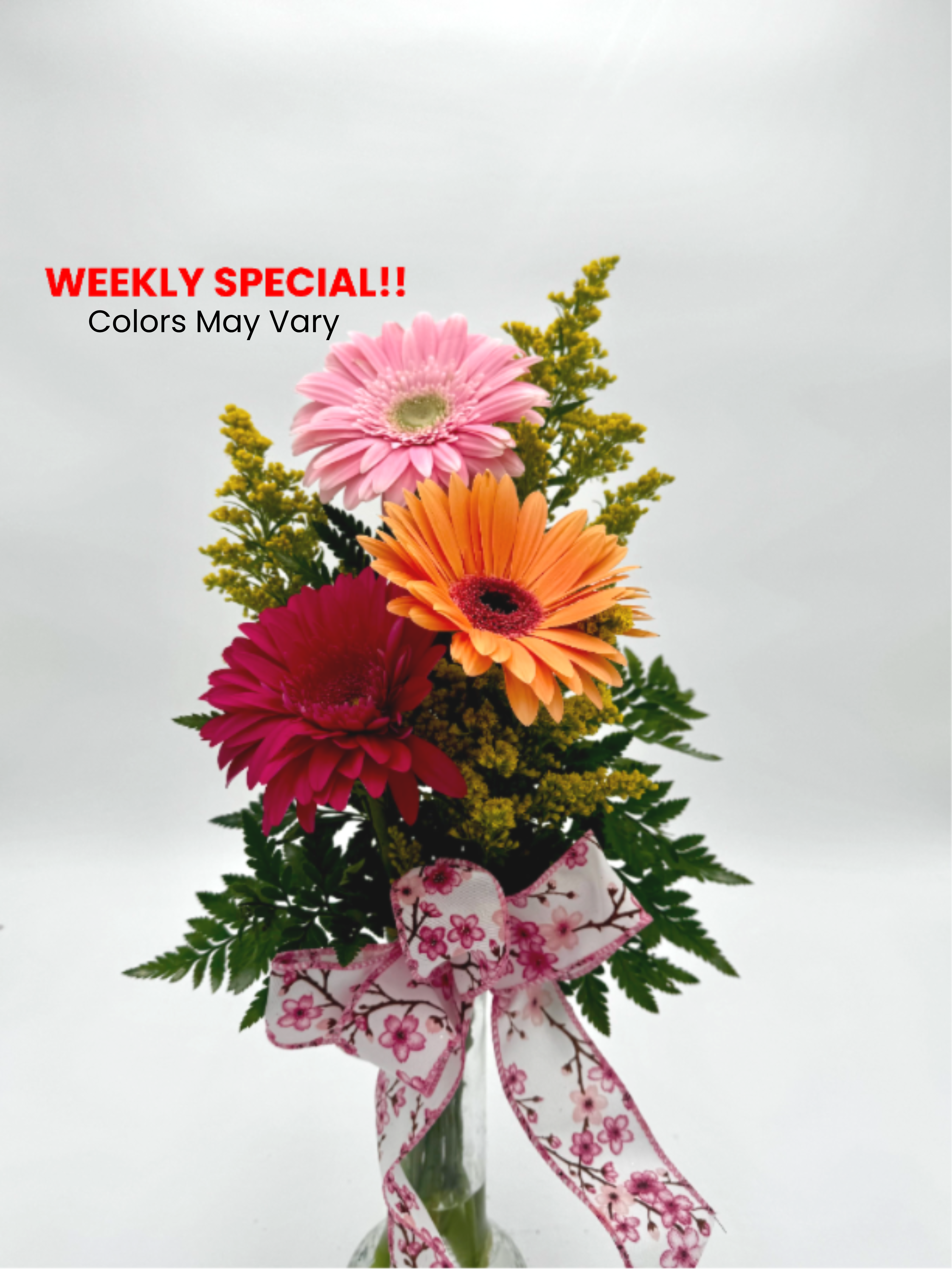 Gerbera Delight - ***WEEKLY SPECIAL*** A fresh mix of colorful gerbera daisies paired with lush greenery and a charming ribbon—perfect for brightening any day. *Colors may vary 