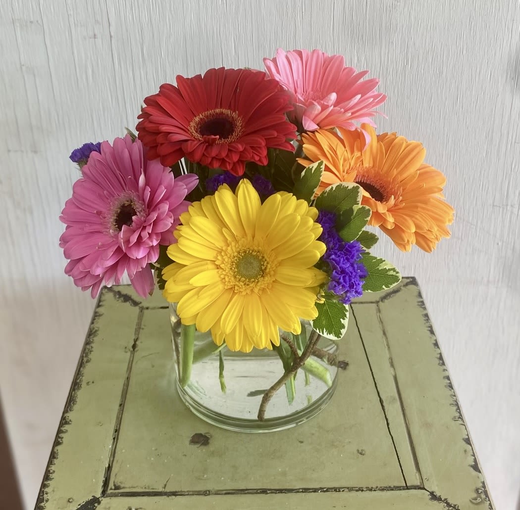 Colorful gerbera daisies arranged in a clear glass vase