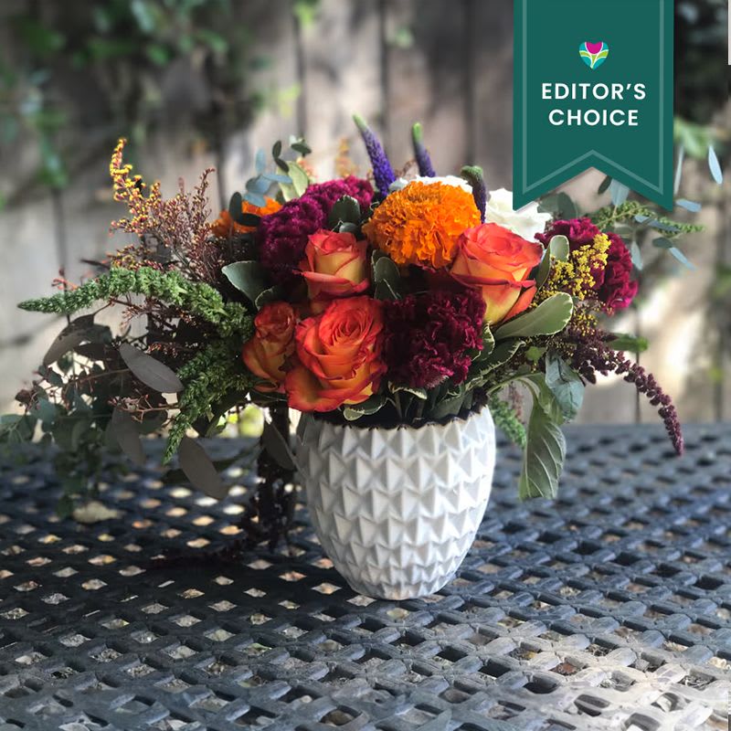 Un Nuovo Inizio - Wow! Experience the vibrant beauty of our floral arrangement in a modern 5.5 x 5.75 round white vase. This stunning design features vibrant orange crush roses, bright pin cushions, burgundy celosia, deep purple veronica, white spray roses, and much more. Perfect for any occasion, this eye-catching arrangement will add a touch of elegance and color to any space. Order now for quick and reliable delivery!
