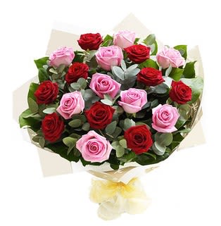 Bouquet of red and pink roses wrapped in pale paper