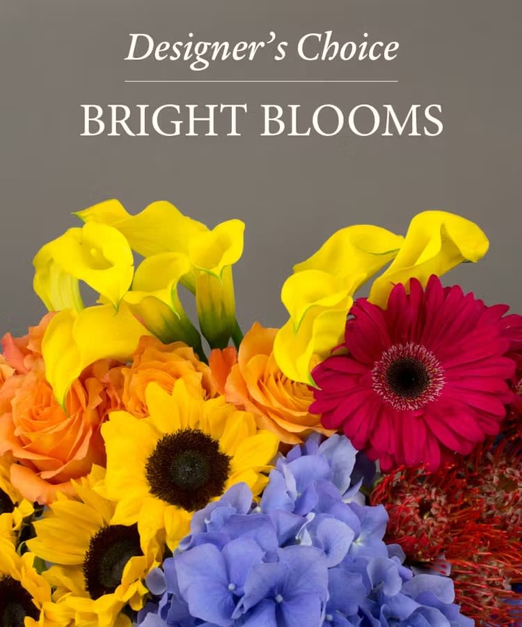 Designer's Choice Bright Blooms - Allow our designers to create a bright fun arrangement for you using the best of what we have in stock. Rest assured this arrangement will be bright and bold to uplift. 