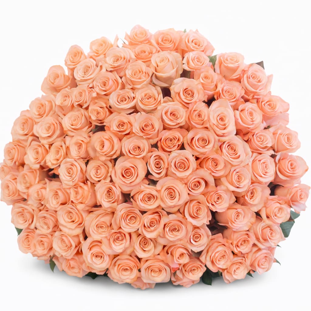 200 Peach Rose Bouquet  - A stunning dome of premium peach-blush roses arranged in a full, tightly packed luxury design. Soft, romantic, and effortlessly elegant, this arrangement is perfect for anniversaries, birthdays, or elevate any space   Available: Deluxe: 250 stems Premium: 300 stems   Some florals are seasonal, if a particular flower will not be available due to season, we will substitute for similar flower, composition, color pallet and value of the arrangements as closely as possible. All effort to create a floral arrangement as close to the photo shown, the actual arrangement may vary slightly in its appearance from the photo shown. If you have any questions about your order, we welcome you to call us in or email    Holiday Delivery:  Same-day delivery available. Deliveries are made throughout the day based on routing.