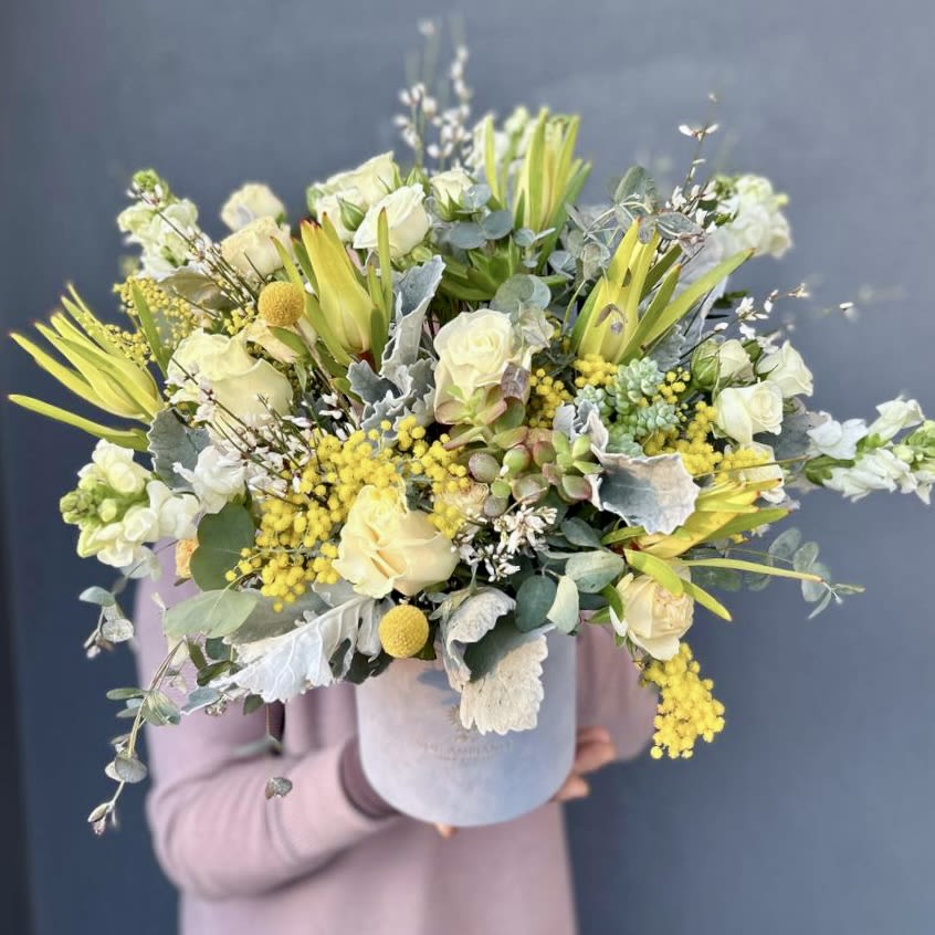 Blue Skies Box - A beautiful velvet blue logo box full of gorgeous flowers. Large and small succulents are elegantly designed with white and peach roses, bright yellow tulips and soft dusty miller to really make this arrangement shine. Accompanied with white snapdragons and lisianthus, this arrangement is sure to bring a smile to anyone's face. Perfect for occasions like a birthday, celebrating a new baby, or get well soon.   Included in this arrangement is: 1 large succulent  2 small succulents 3 roses 3 spray roses 3 tulips 3 snapdragon 4-5 short Lisianthus 2 leucadendron and seeded eucalyptus  in a small blue logo box 